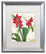 Color Bakery 'Peppermint Amaryllis' Art, Silver Frame, White Matte, 16"x20"