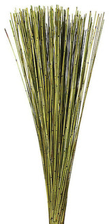 Marsh Reed Bundle, Dried , Basil, 30"