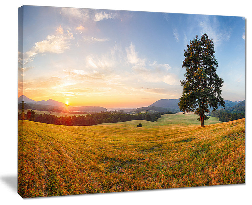 "Lonely Tree on Meadow at Sunset" Landscape Photo Wall Art, 40"x30"