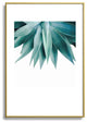 Gale Switzer Agave fringe Metal Framed Art Print
