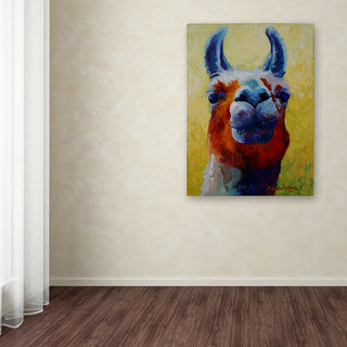 Marion Rose 'Llama I' Canvas Art, 47 x 35
