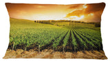 Sunset Vineyard Panorama Landscape Printed Throw Pillow, 12"x20"