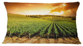 Sunset Vineyard Panorama Landscape Printed Throw Pillow, 12"x20"