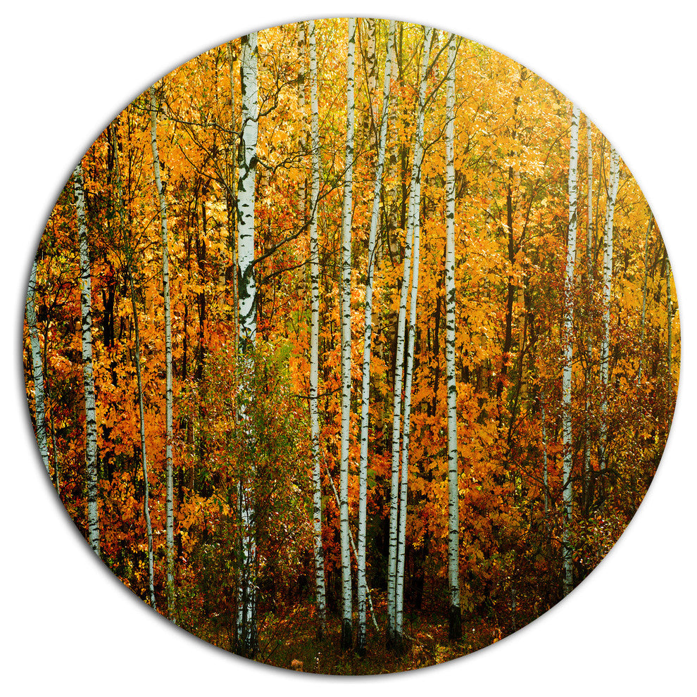 Yellow Colorful Autumn Forest, Modern Forest Round Metal Wall Art, 11"