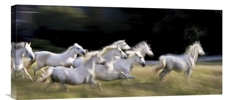 "Ten" Stretched Canvas Giclee by Milan Malovrh, 22x10"