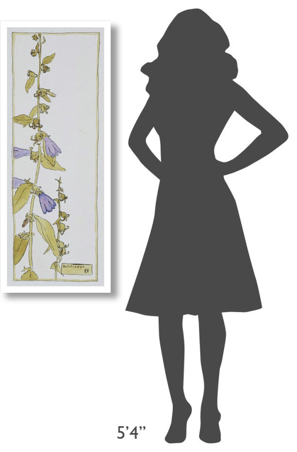"Bell Flower" Digital Paper Print by Hannah Borger Overbeck, 17"x42"