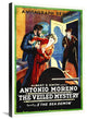 "The Veiled Mystery" Stretched Canvas Giclee by Hollywood Photo Archive, 20x30"