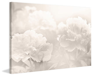 Peony Print on Canvas, 91x61 cm