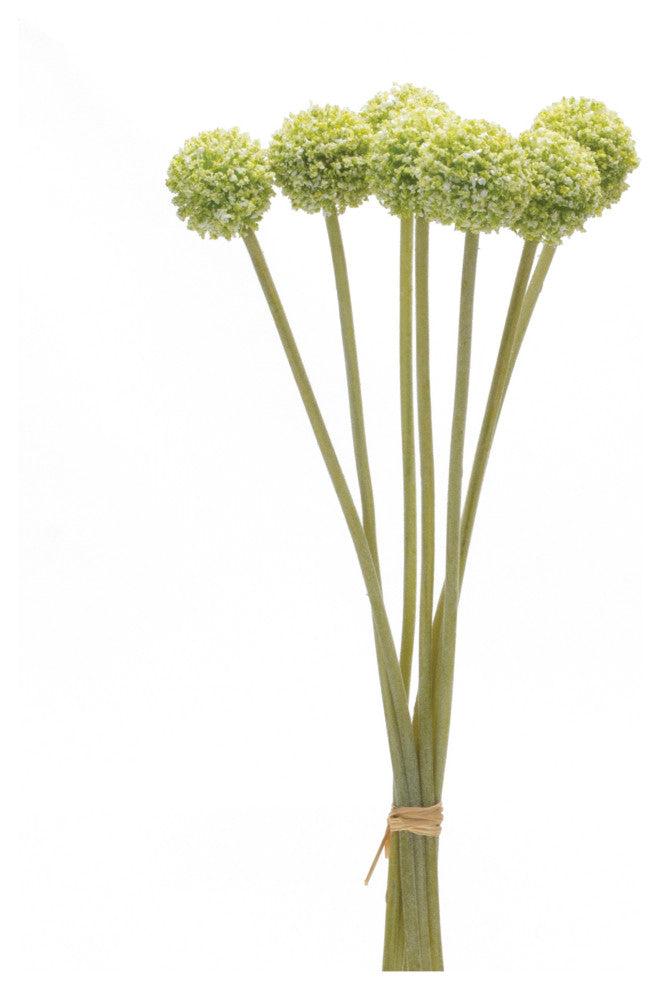 Pod Bundle, Set of 6