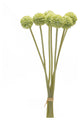 Pod Bundle, Set of 6
