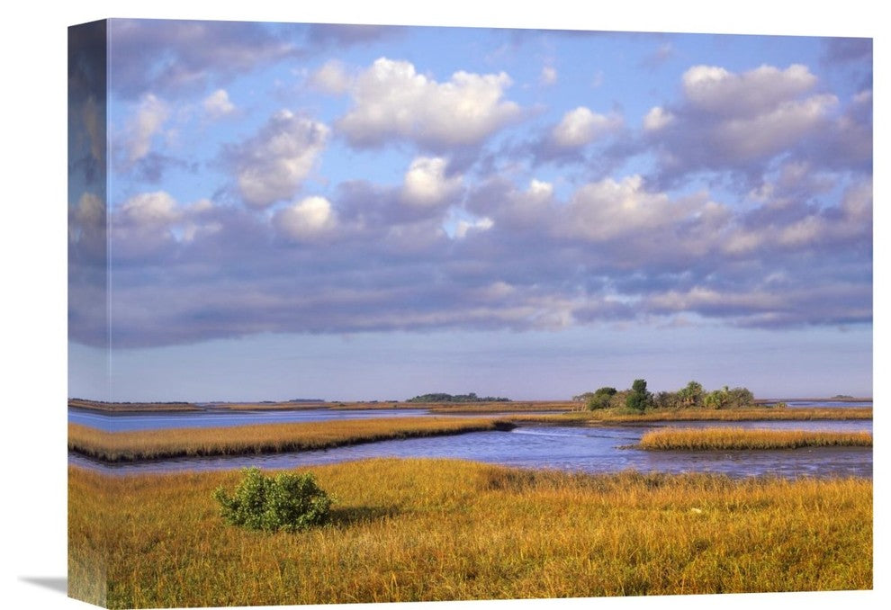 "Saltwater Marshes At Cedar Key, Florida" Artwork, 16" x 12"