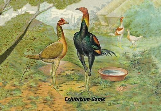 Exhibition Game- Fine Art Giclee Print 24" x 36"