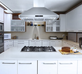 4-Piece, 36" Range, 36" Island Range Hood, 24" Dishwasher and Refrigerator