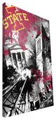 IWS Cyclones Spirit Canvas Print, 16"x24"
