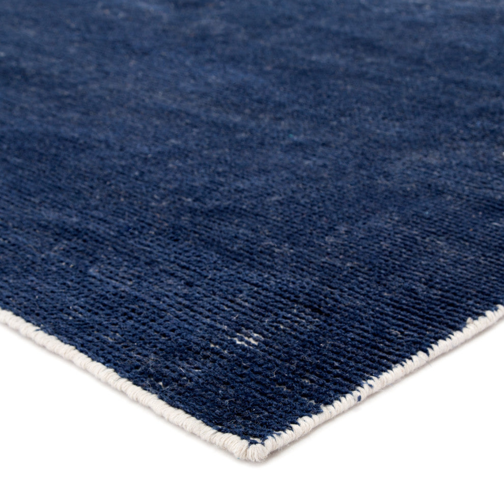 Jaipur Living Limon I-O Solid Blue Rug, 9'x12'