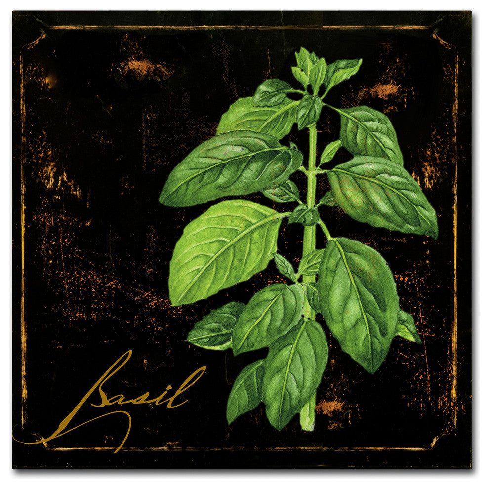 Color Bakery 'Black Gold Herbs IV' Canvas Art, 35"x35"