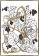 24x35 Intertwined Gold II, Framed Artwork, Silver