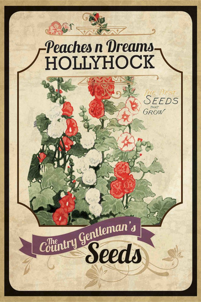 "Flower Packet Hollyhock" Painting Print on Canvas