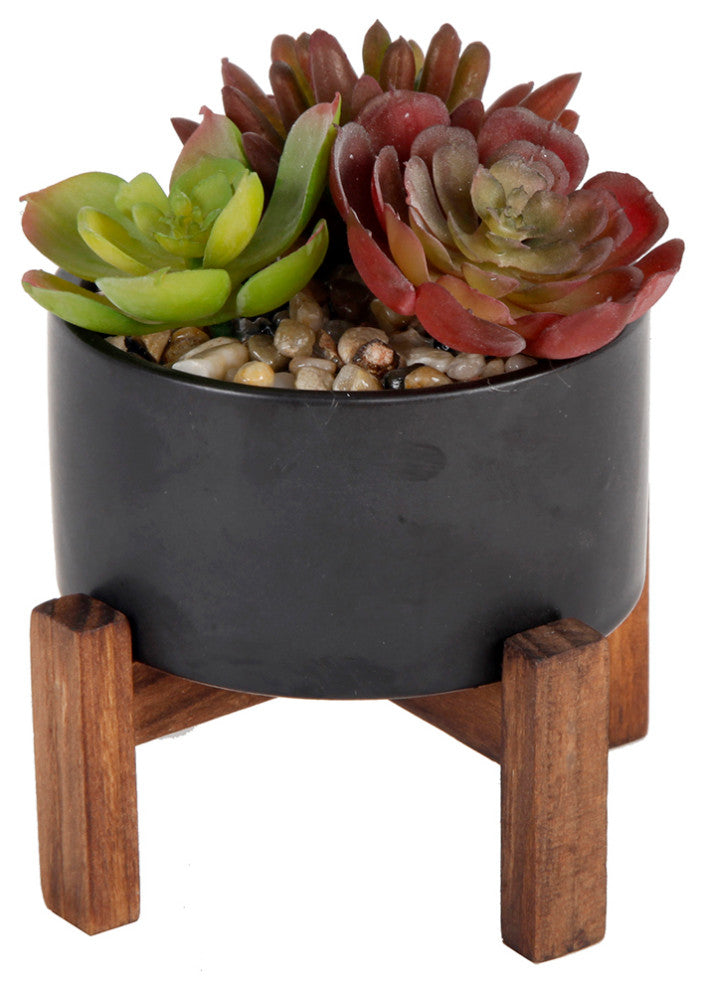 4" Succulents Mix In Pot W/ Stand