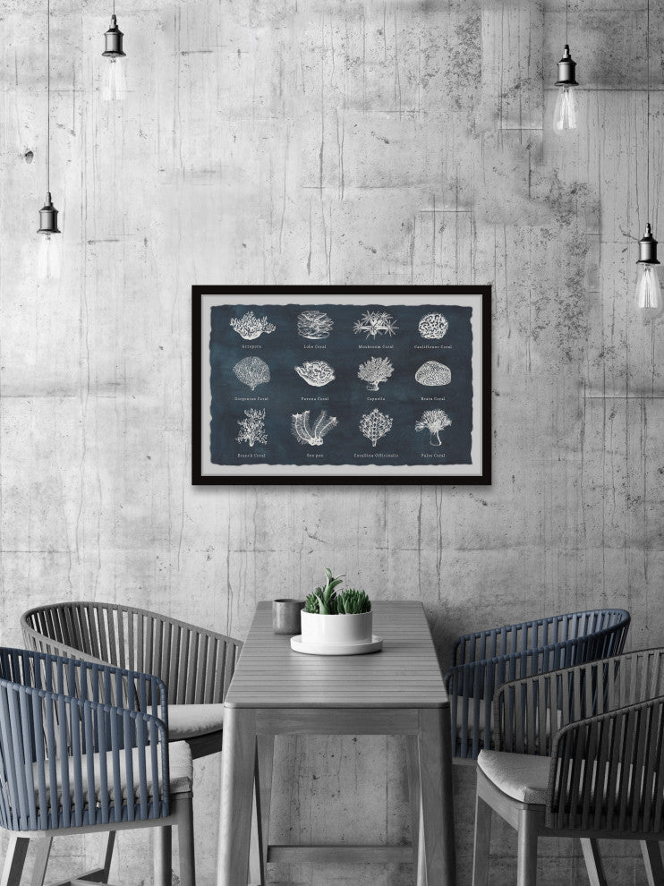 "Coral Identification" Framed Painting Print, 12x8