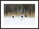 "Sing A Song Of Love" Framed Digital Print by Ikuo Iga, 38"x28"