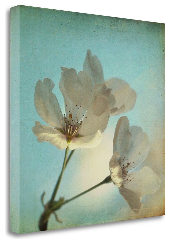 "Spring Sings" By Dawn D. Hanna, Giclee Print on Gallery Wrap Canvas