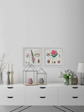 "Growing Pink Diptych" Framed Prints, 32"x32", 2-Piece Set