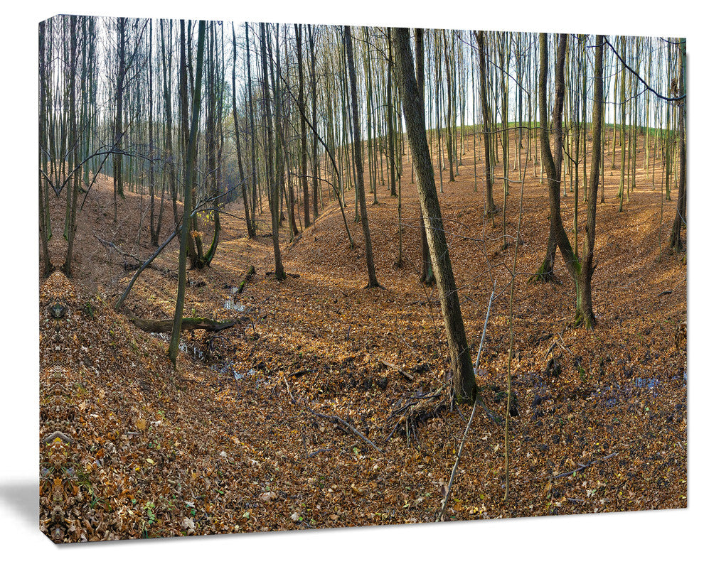 Woods in Fall Forest Panorama, Forest Canvas Art Print, 20"x12"