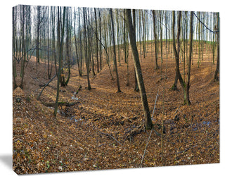 Woods in Fall Forest Panorama, Forest Canvas Art Print, 20"x12"