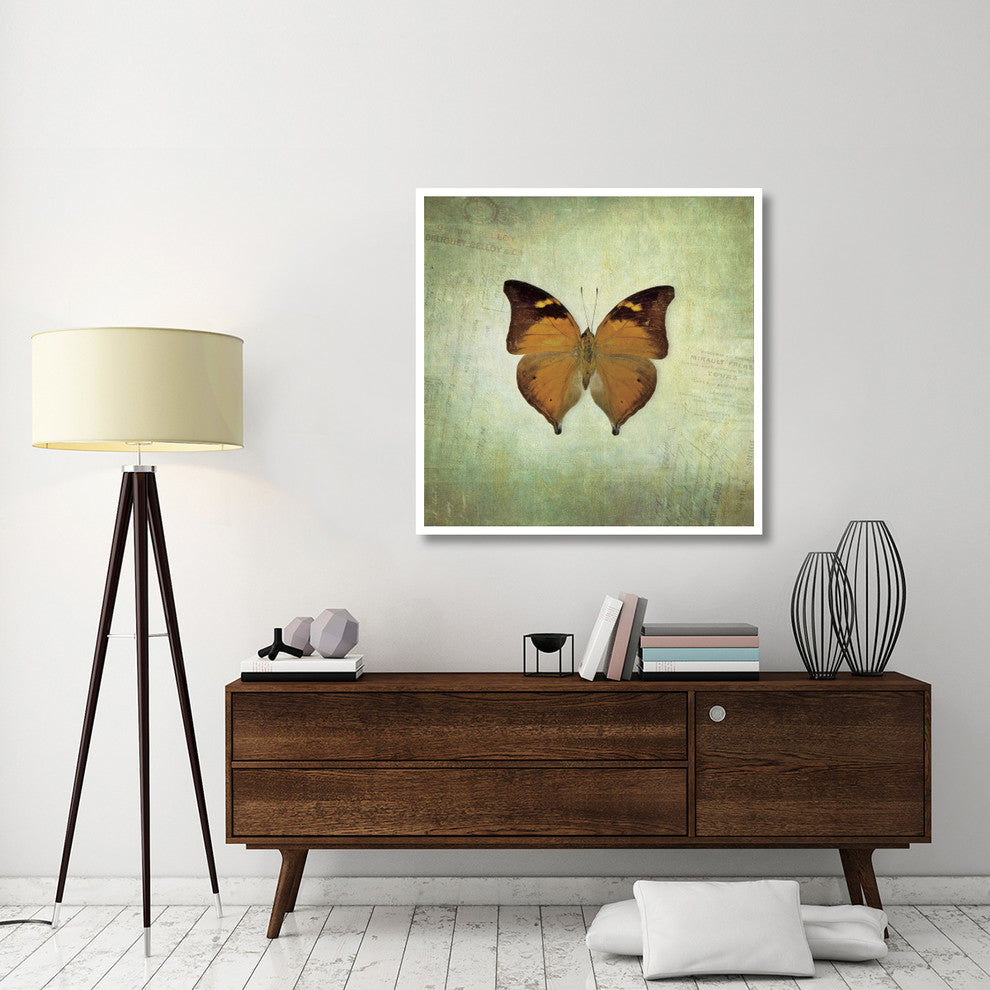 "French Butterfly VII" Digital Paper Print by Debra Van Swearingen, 42"x42"