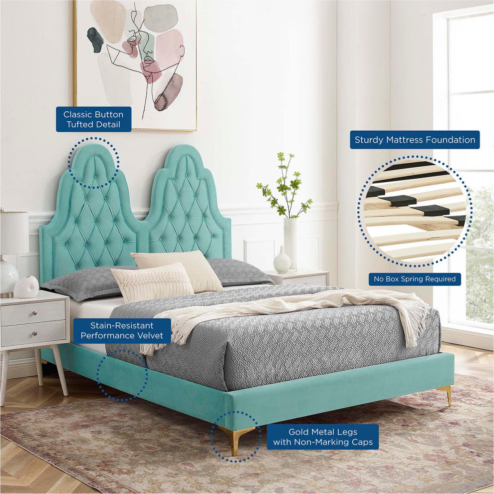 Tufted Platform Bed Frame, Queen Size, Velvet, Blue, Modern Contemporary