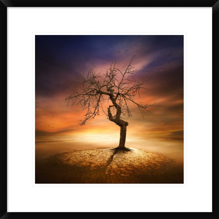"Lonely" Framed Digital Print by Piotr (Bax) Krol, 24x24"