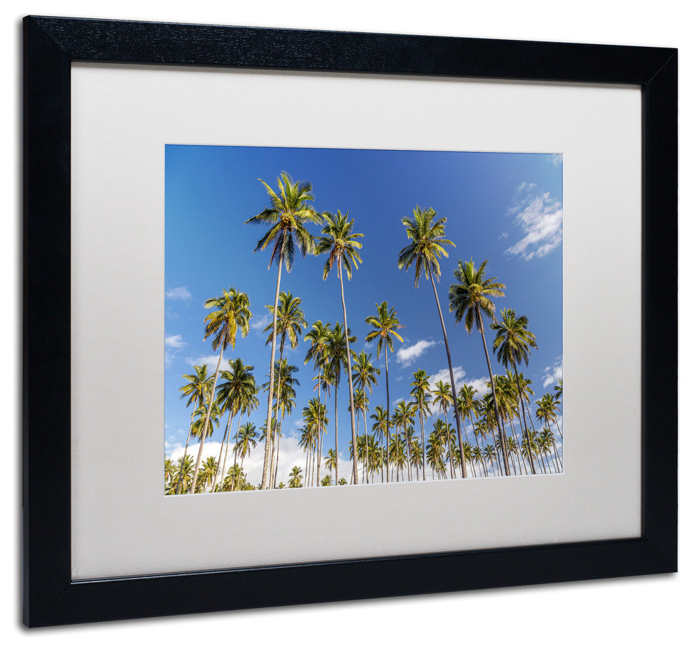 Pierre Leclerc ''Coconut Grove'' Matted Framed Art, Black Frame, White, 20x16