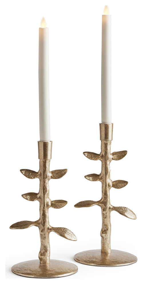 Brier Taper Holder Set