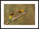 "The Territory" Framed Digital Print by Amnon Eichelberg, 38"x28"
