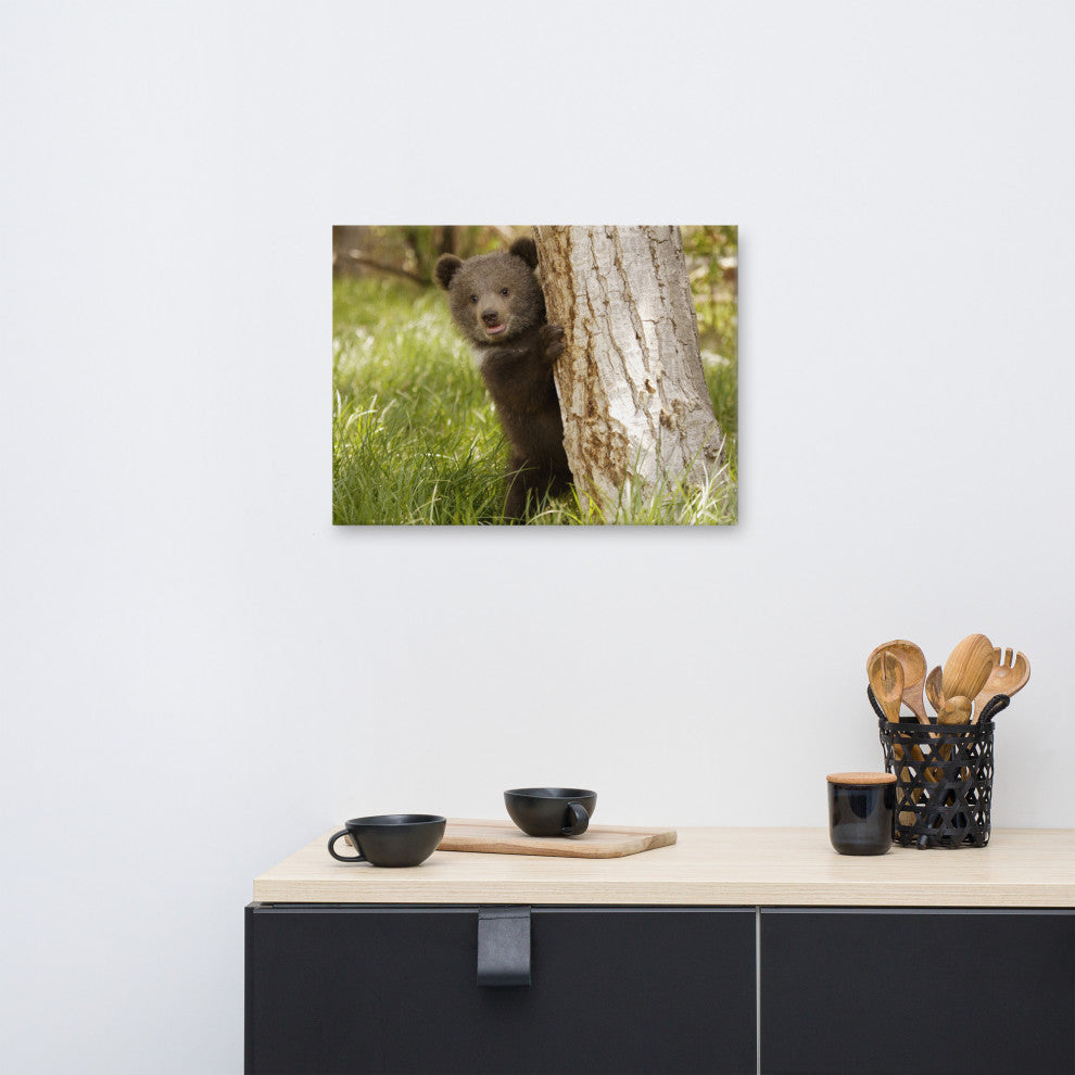 Baby Grizzly Bear Cub Behind Tree In Meadow Wildlife Photo Canvas Wall Art Print, 18" X 24"