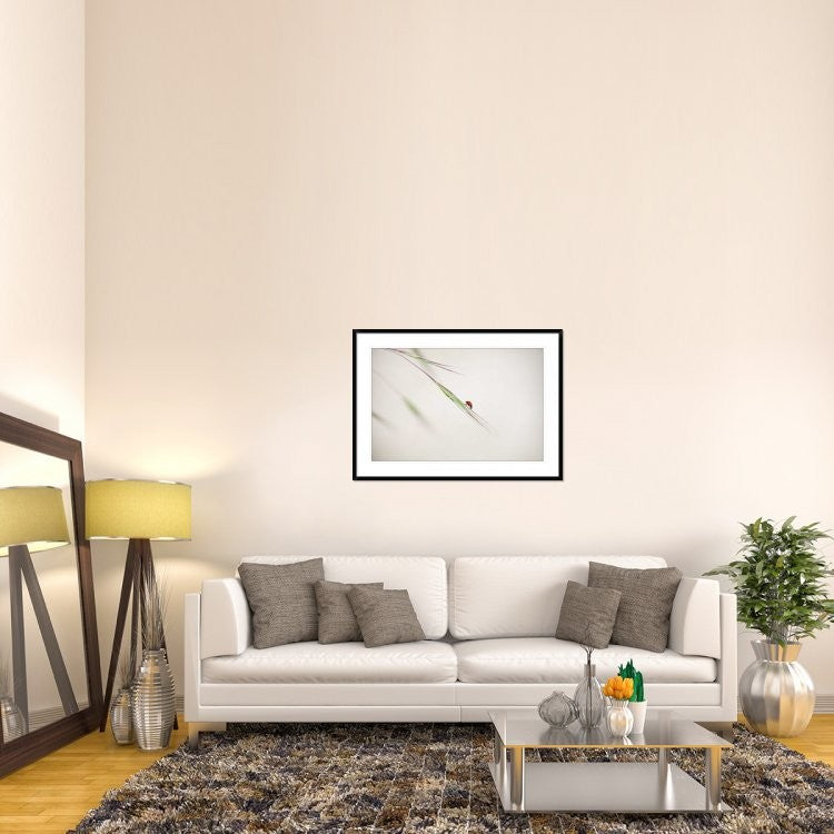 "Untitled" Framed Digital Print by Anna Cseresnjes, 44x32"