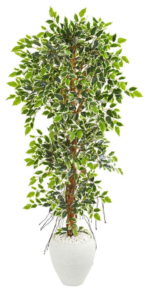 5.5" Elegant Ficus Artificial Tree in White Planter