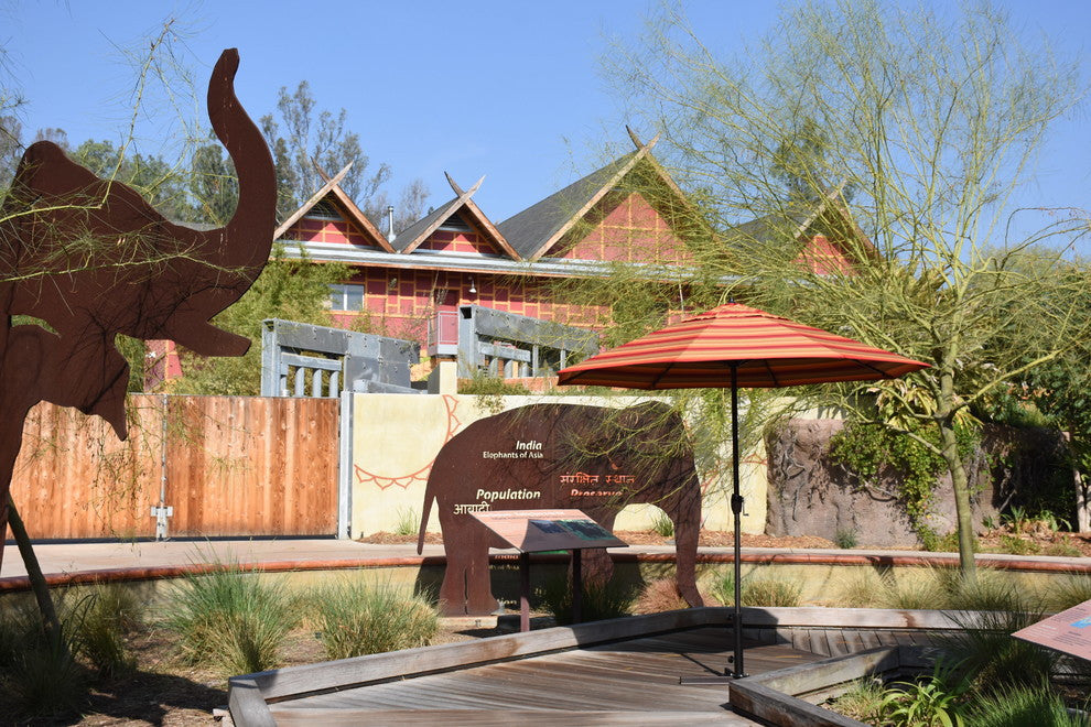 9' Bronze Auto-tilt Crank Lift Aluminum Umbrella, Sunbrella, Spectrum Mist