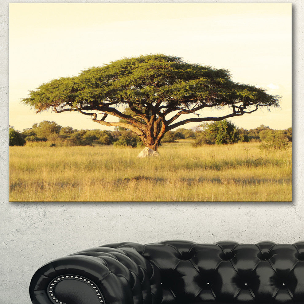 Acacia Tree on African Plain, Oversized African Landscape Canvas Art, 40"x30"