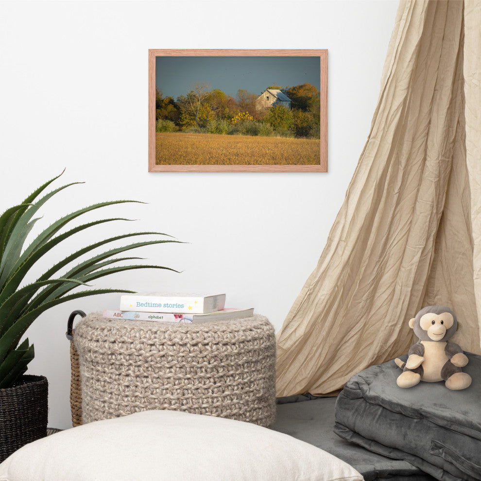 Abandoned Barn In The Trees Framed Photo Paper Wall Art Prints, Red Oak, 12" X 18"