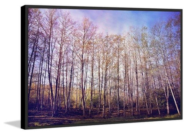 "Forest of Trees" Floater Framed Painting Print on Canvas, 18"x12"