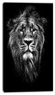 "Male Asiatic Lion" Animal Digital Canvas Print, 16"x32"