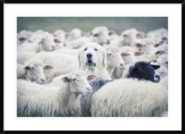 "In Disguise" Framed Digital Print by Adrian Popan, 44x32"