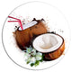 Coconuts With Straw Watercolor, Floral Round Wall Art, 23"