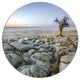 Baobab Tree On Rocky Terrain, Landscape Disc Metal Wall Art, 23"