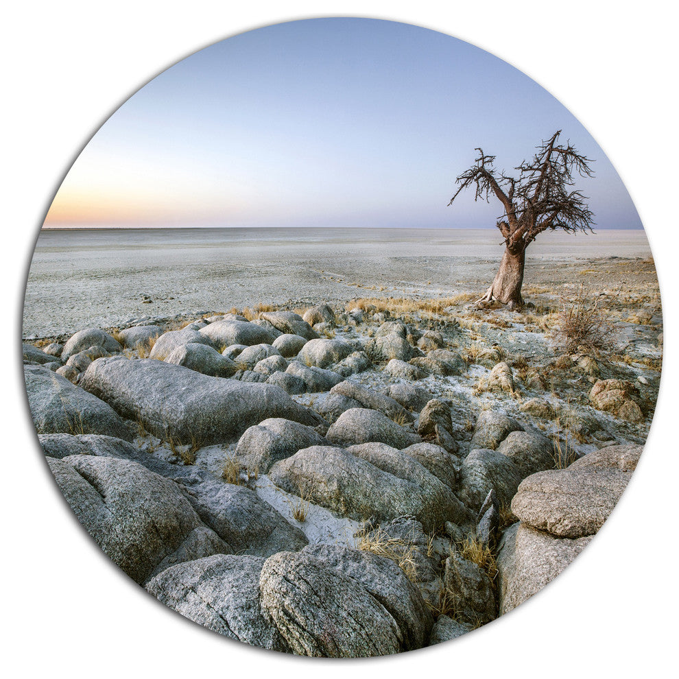 Baobab Tree On Rocky Terrain, Landscape Disc Metal Wall Art, 23"