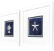 Coral Starfish Framed Art, 2-Piece Set