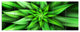 Exotic Green Flower Petals, Floral Canvas Art Print, 70"x28", 6 Panels