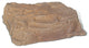 Artificial Rock Enclosure, Model 112, Autumn Bluff